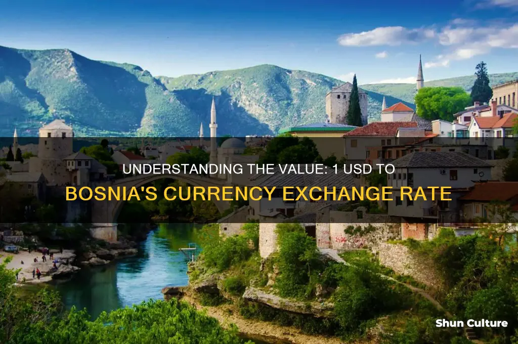 how much is 1 dollar in bosnia