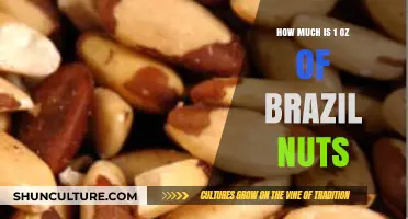Brazil Nuts Price Guide: Understanding the Cost of 1 Ounce