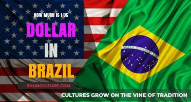 Current USD to BRL Exchange Rate: How Much is 1 US Dollar in Brazil?