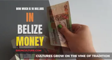 Dollars to Belize Dollars: Understanding the Exchange Rate