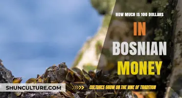 Converting USD to BAM: Understanding 100 Dollars in Bosnian Currency