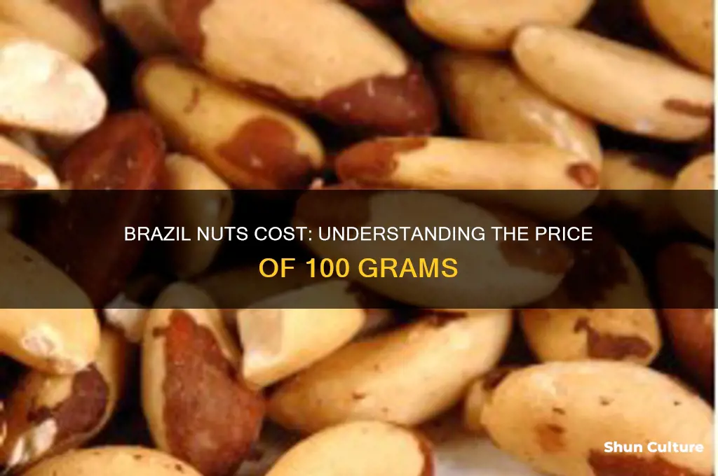 how much is 100 grams of brazil nuts