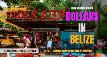 Dollars and Sense: Understanding the Belizean Dollar's Value