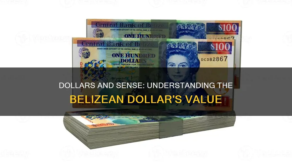 how much is 100 us dollars in belize