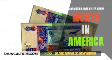 Belizean Currency Conundrum: Understanding the Value of Belize Dollars in America