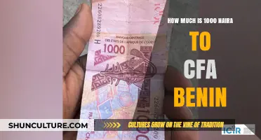 Exploring Currency Exchange: Naira to CFA Benin Conversion