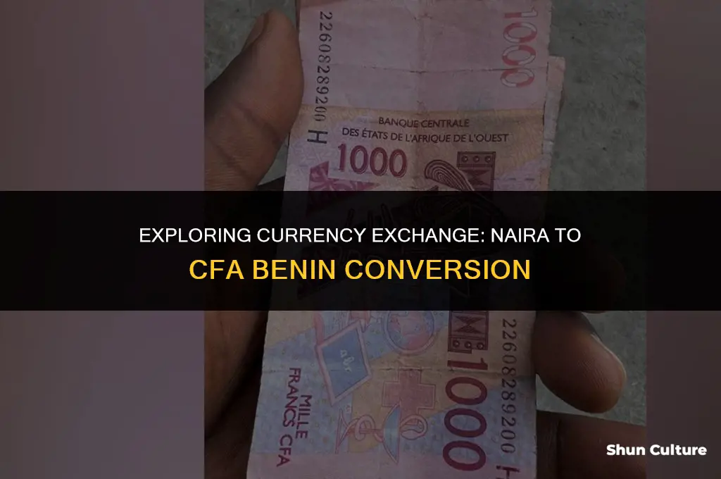 how much is 1000 naira to cfa benin