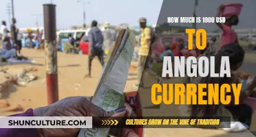 Exploring Exchange Rates: 1000 USD in Angola