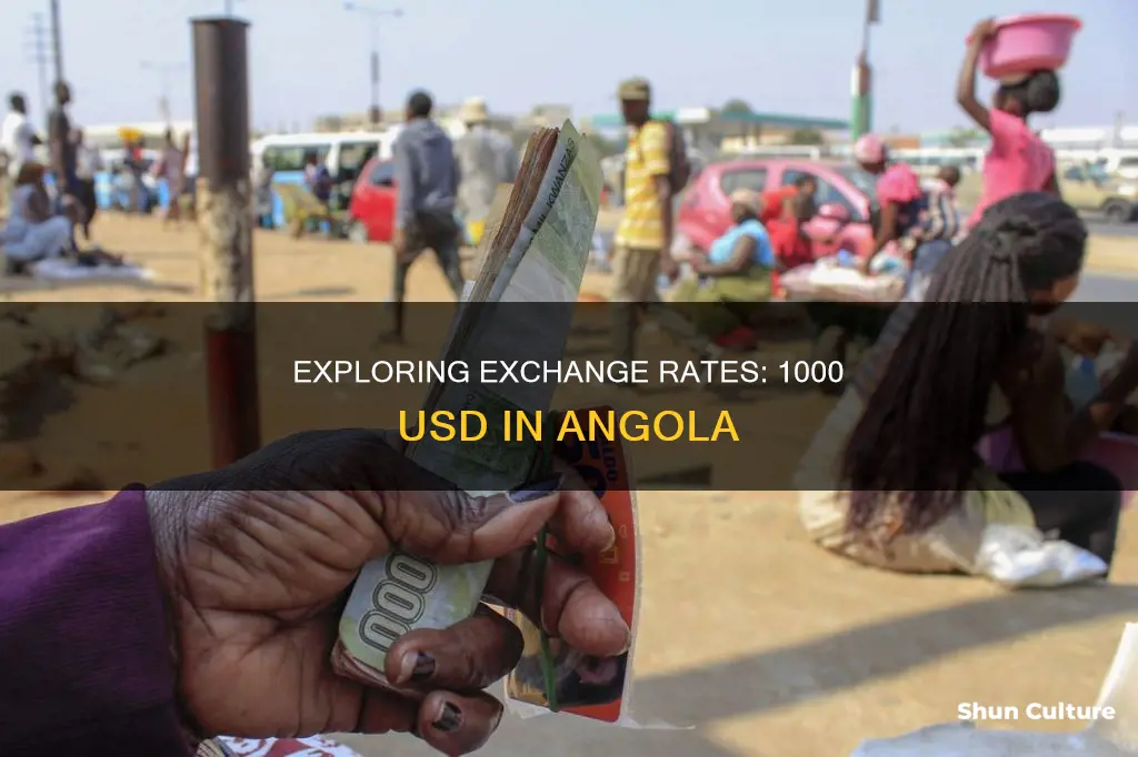 how much is 1000 usd to angola currency