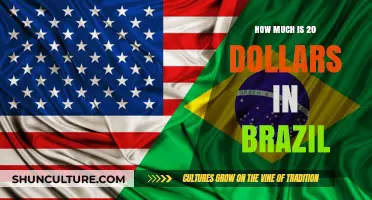 Converting USD to BRL: What’s the Value of 20 Dollars in Brazil?