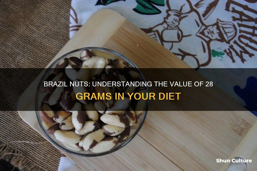 how much is 28 grams of brazil nuts
