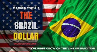 Converting USD to BRL: How Much is $3,000 in Brazilian Real?