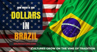 Converting USD to BRL: Understanding the Value of $300 in Brazil