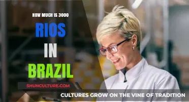 Converting 3000 Rios to Brazilian Real: A Comprehensive Currency Guide