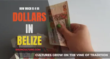 Dollars and Sense: Understanding Currency Conversion in Belize