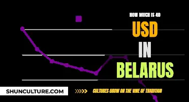 Exploring Exchange Rates: 40 USD in Belarus