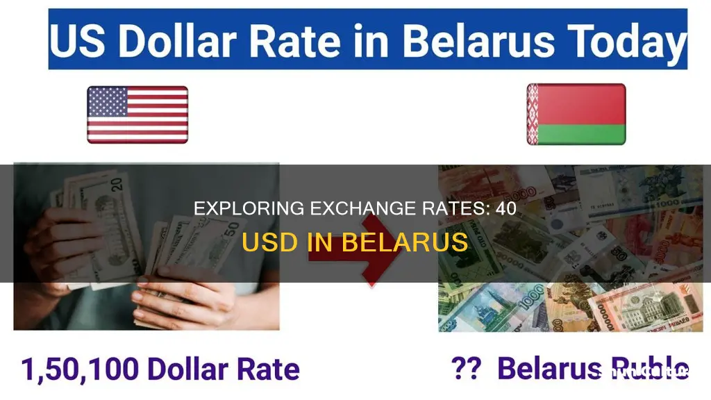 how much is 40 usd in belarus