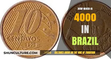 Understanding the Value of 4000 Brazilian Reais in Today's Economy