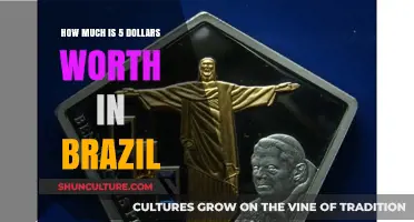 Understanding the Value: How Much is $5 in Brazil?