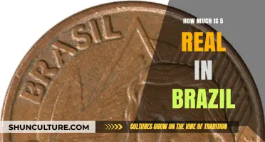 Understanding the Value of 5 Brazilian Real in Today's Economy