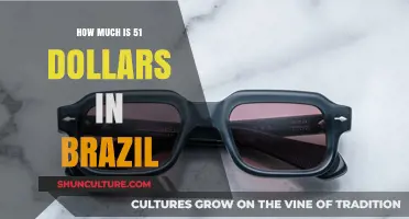 Understanding the Value: Converting 51 USD to Brazilian Real