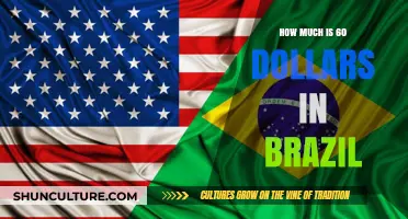 Converting USD to BRL: How Much is $60 in Brazil?