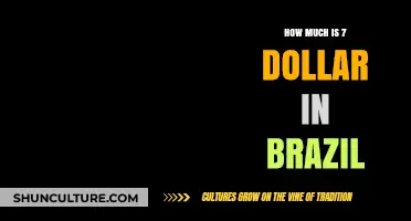 Understanding the Value: Converting 7 US Dollars to Brazilian Real