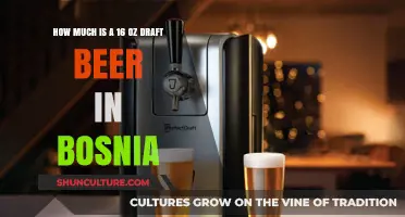 Bosnia's Draft Beer Prices: Cost of a 16 oz Pint Revealed