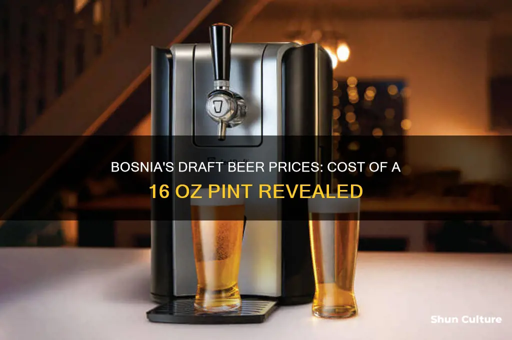 how much is a 16 oz draft beer in bosnia