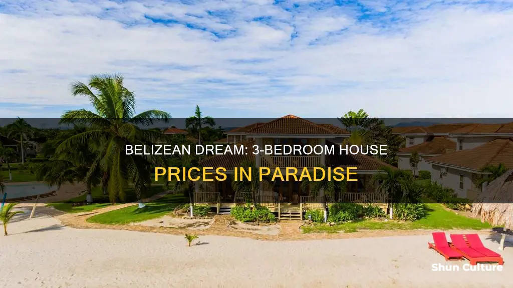 how much is a 3 bedroom house in belize