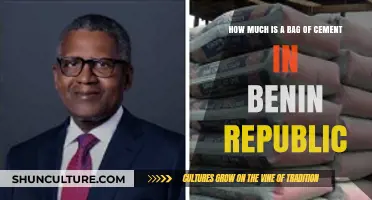 Exploring Construction Costs: Cement Prices in Benin Republic