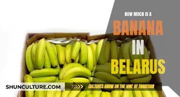 The Cost of a Banana in Belarus