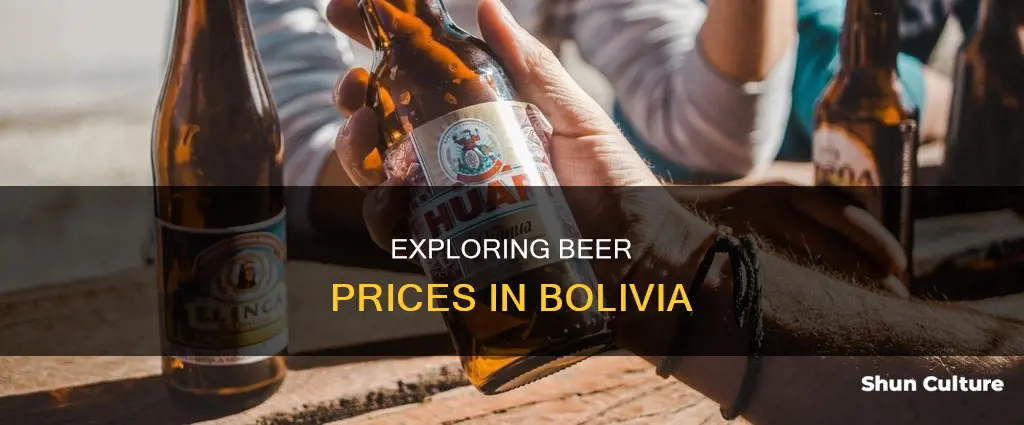 how much is a beer in bolivia