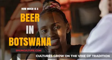 Exploring Botswana's Beer Prices: A Guide to Local Costs