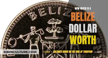 The Dynamic Value of the Belize Dollar