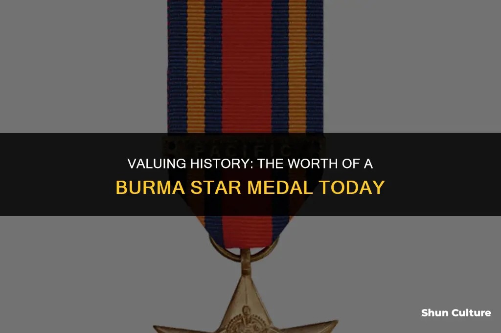 how much is a burma star medal worth