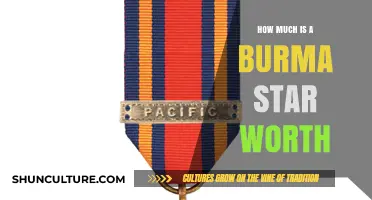 Unveiling the Value: A Comprehensive Guide to Burma Star Worth
