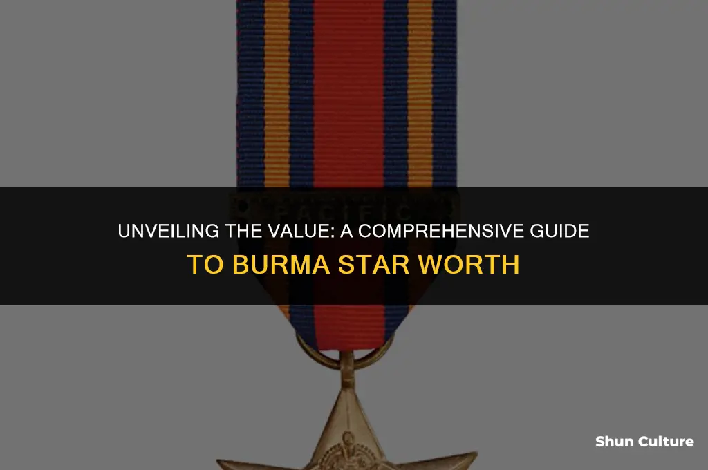 how much is a burma star worth