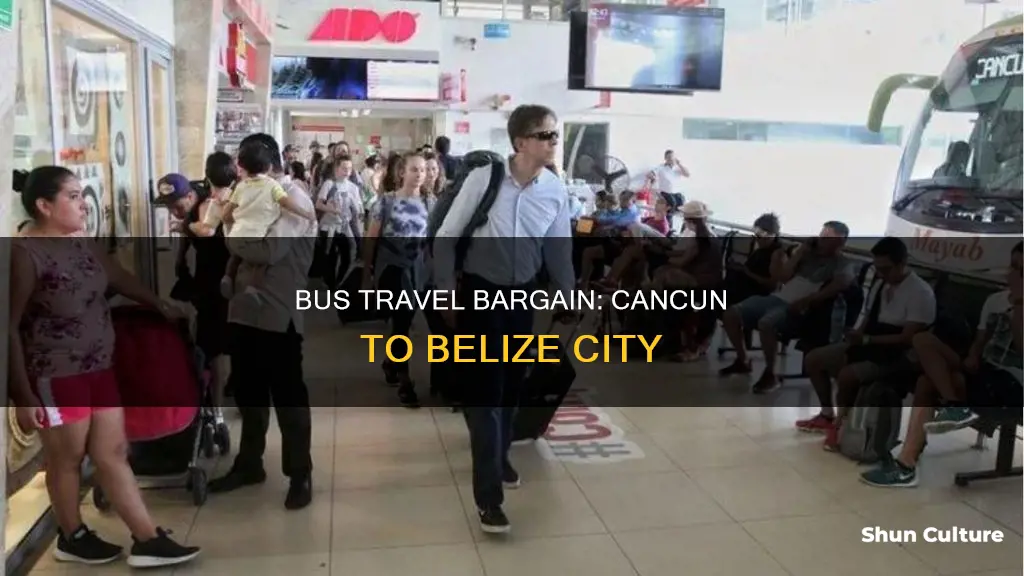 how much is a bus from cancun to belize city