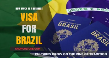 Brazil Business Visa Cost: Essential Fees and Application Guide