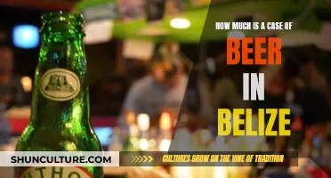 Belize Beer Budgeting: Unraveling the Cost of a Case for the Savvy Traveler