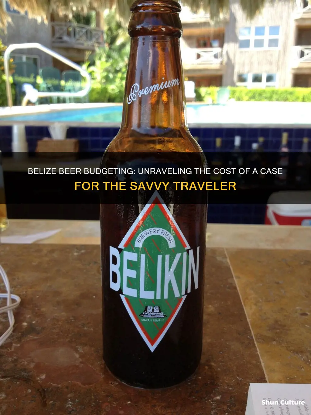 how much is a case of beer in belize