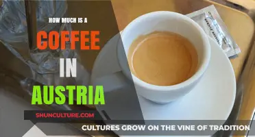 A Coffee Break in Austria: Prices and Culture