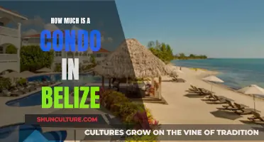 Belize's Condo Conundrum: Unveiling the True Cost of Paradise