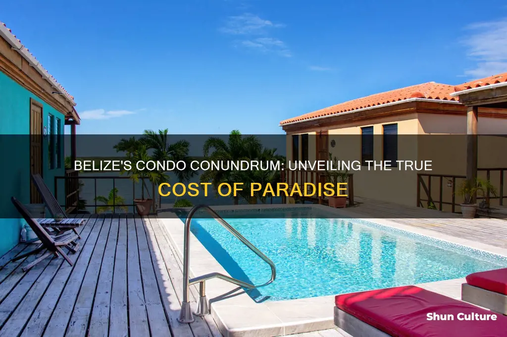 how much is a condo in belize