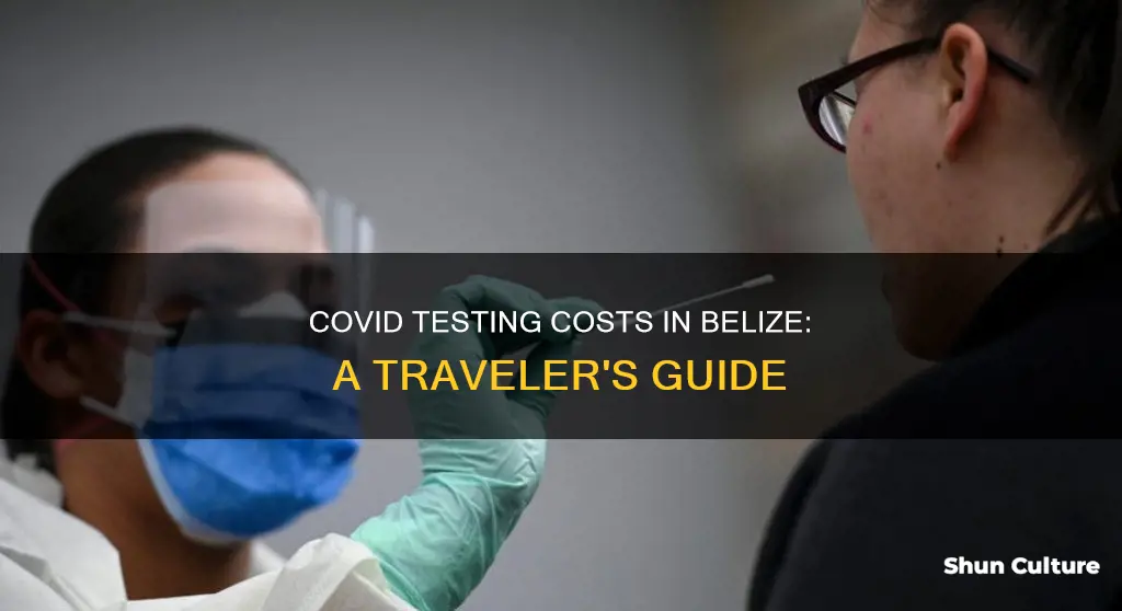 how much is a covid test in belize