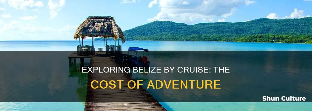 how much is a cruise to belize