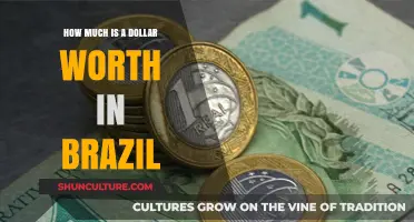 Understanding the Value of a Dollar in Brazil's Economy Today