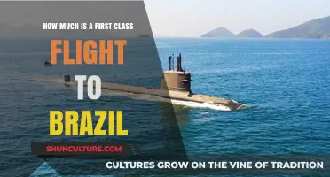 First Class Flight Costs to Brazil: What to Expect