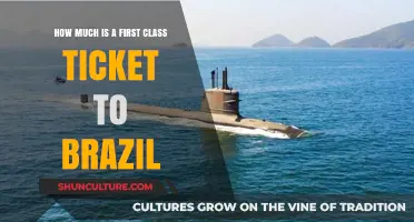 First Class Ticket to Brazil: Cost and Luxury Travel Guide